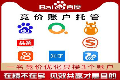 成功sem公司的策略与执行